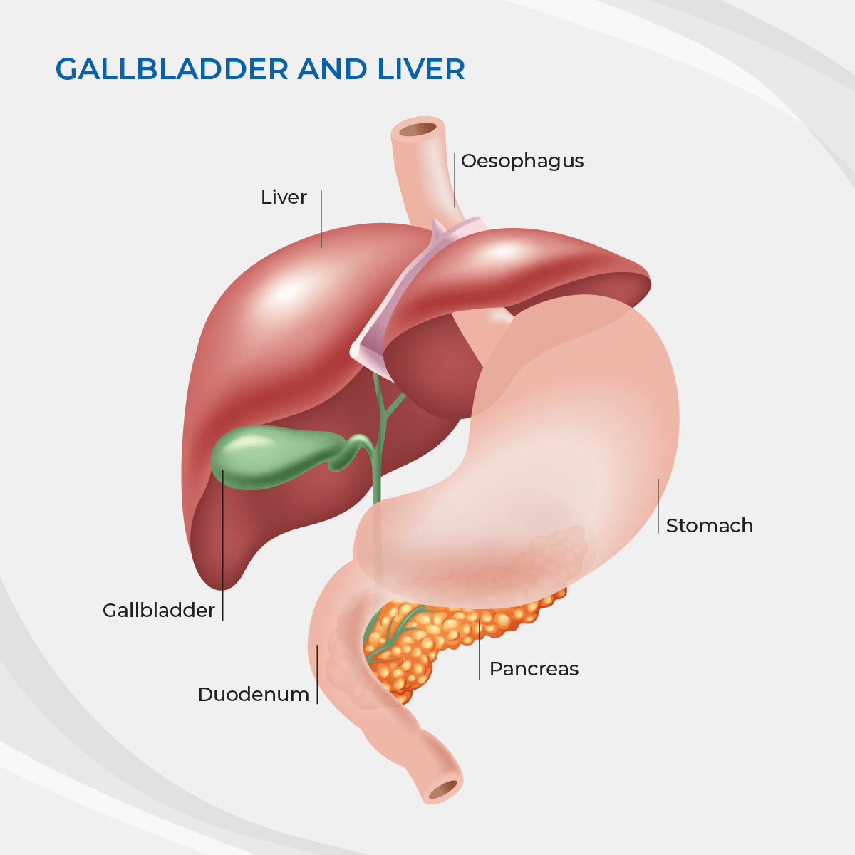 Gallbladder Surgery, Laparoscopic cholecystectomy